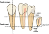 [Figure 1]
