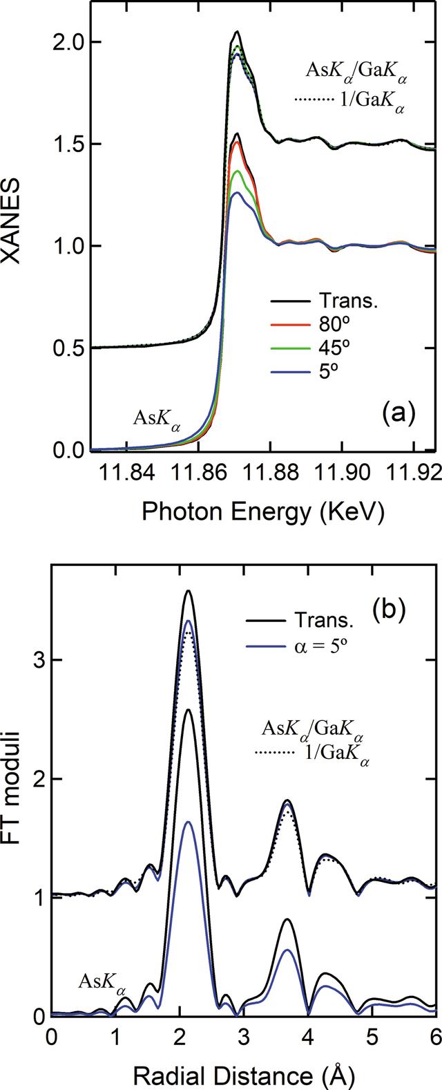 [Figure 7]