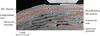 [Figure 10]