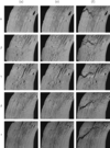 [Figure 13]