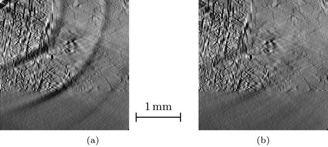 [Figure 7]