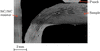 [Figure 8]