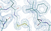 [Figure 6]