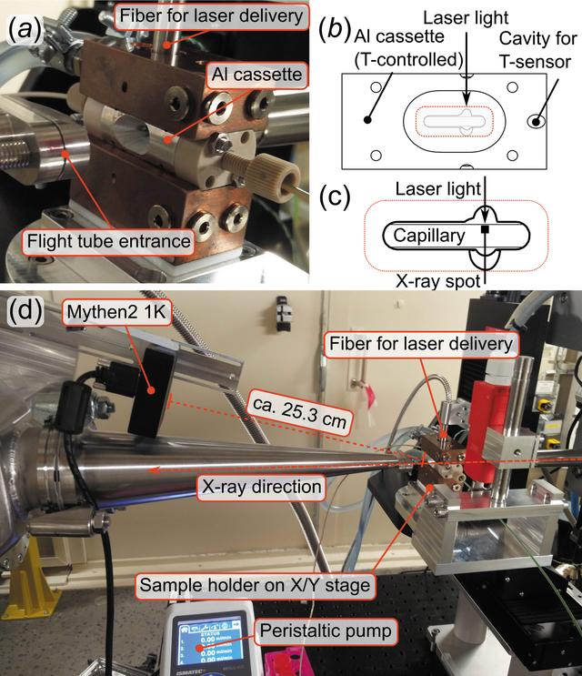 [Figure 1]