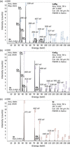 [Figure 9]