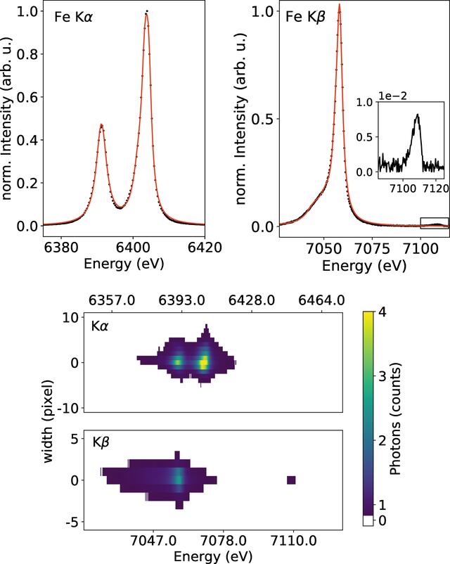 [Figure 3]