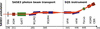 [Figure 1]