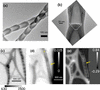 [Figure 1]