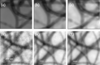 [Figure 6]