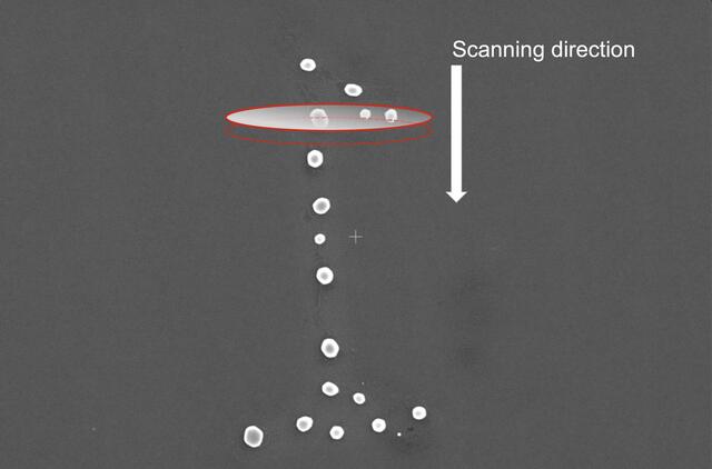 [Figure 2]