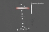 [Figure 2]