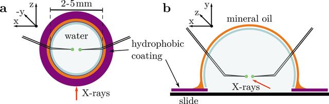 [Figure 1]