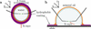 [Figure 1]