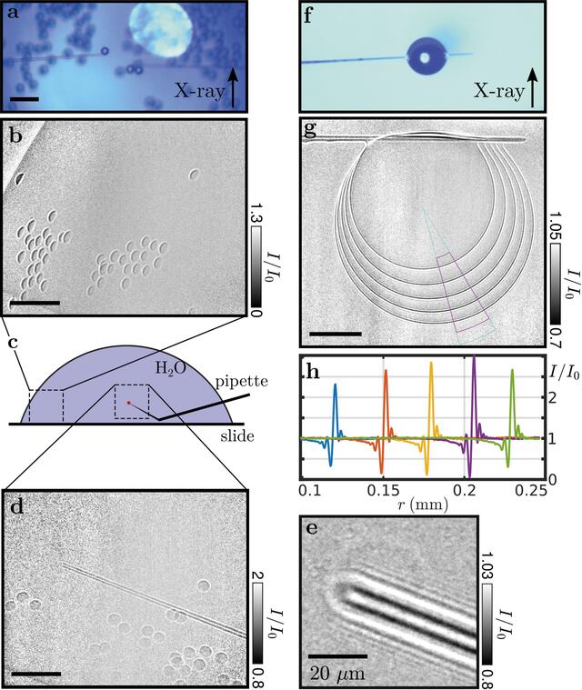 [Figure 6]