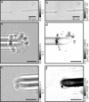[Figure 7]