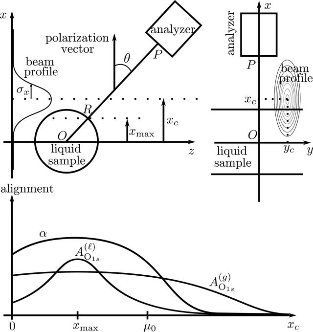 [Figure 1]