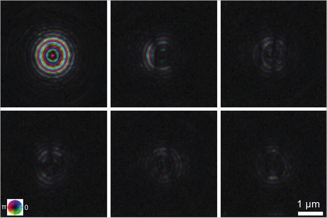 [Figure 5]