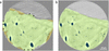 [Figure 7]
