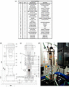 [Figure 1]