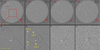 [Figure 5]