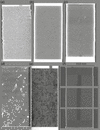 [Figure 6]