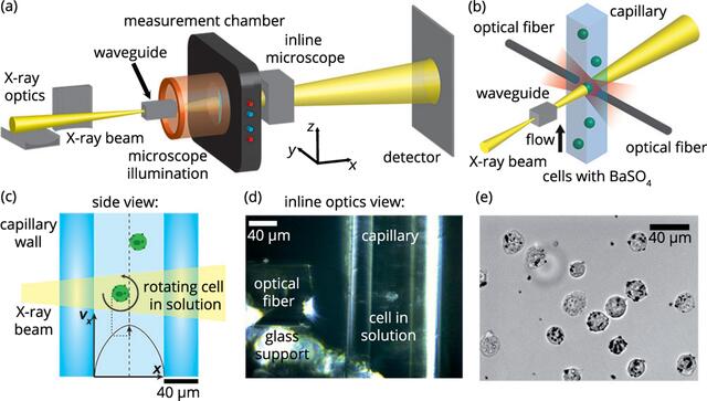 [Figure 1]