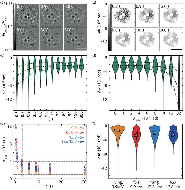 [Figure 3]
