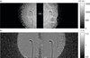 [Figure 2]