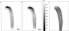 [Figure 3]
