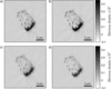 [Figure 4]