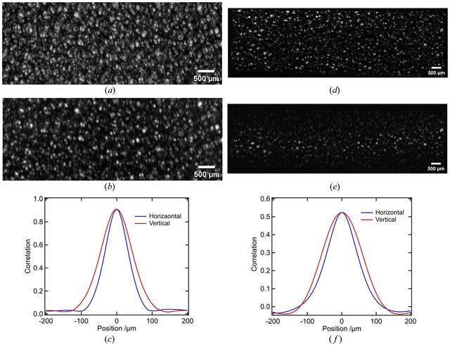 [Figure 6]