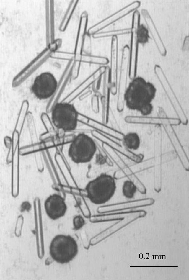 [Figure 1]