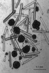 [Figure 1]