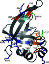 [Figure 3]