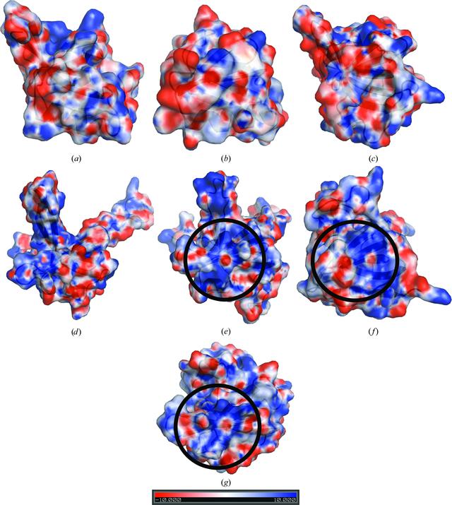 [Figure 4]