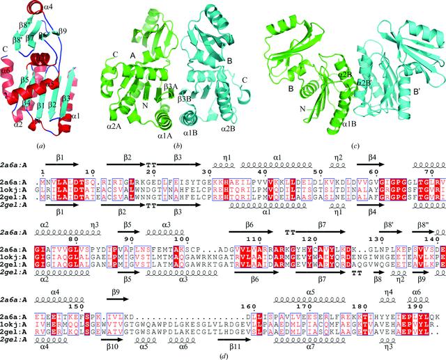 [Figure 1]