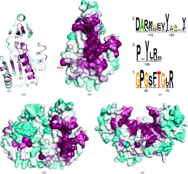 [Figure 3]