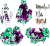 [Figure 3]