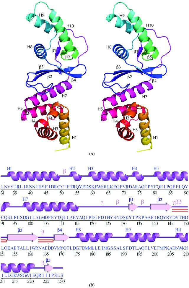 [Figure 1]