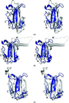 [Figure 2]