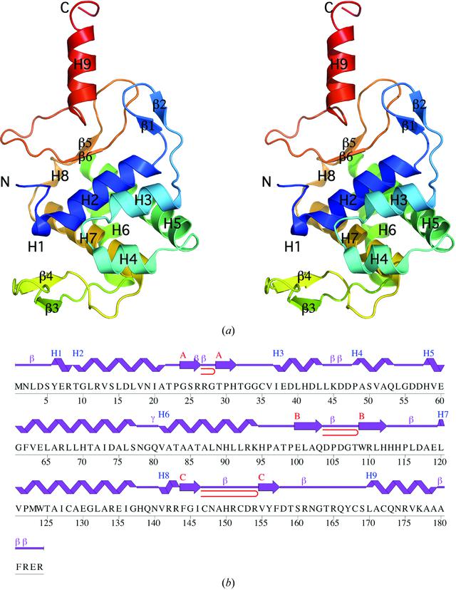 [Figure 1]