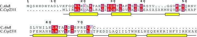 [Figure 1]