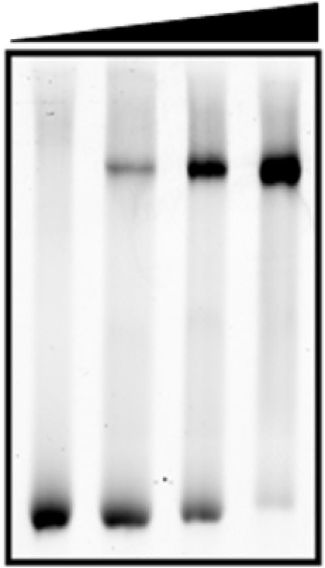[Figure 3]
