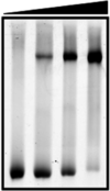 [Figure 3]