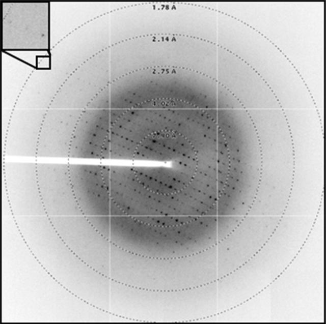 [Figure 4]
