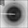 [Figure 4]