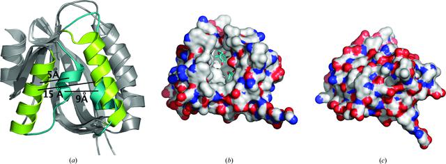 [Figure 2]
