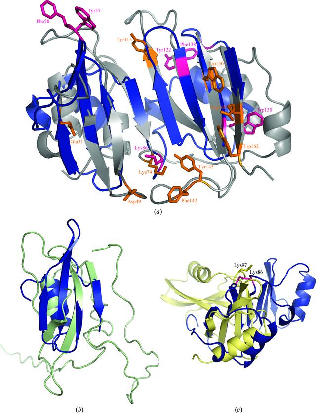 [Figure 3]