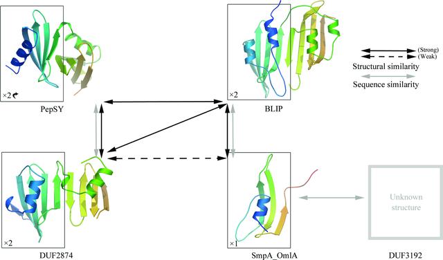 [Figure 4]