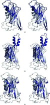[Figure 2]
